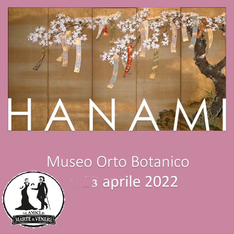 hanami2022 card